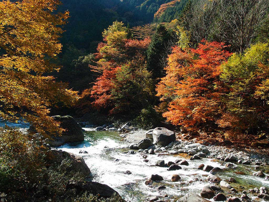 大桑村 阿寺渓谷 ３ 美濃の風物記